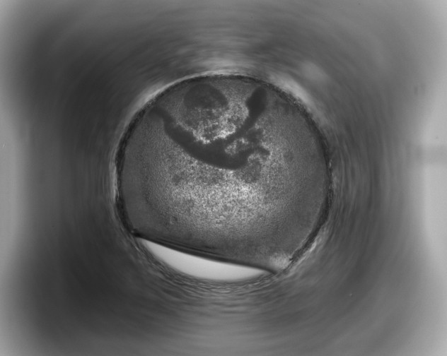 X0000098071267200804110915