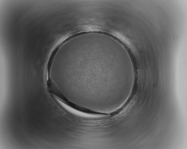 X0000098071269200804110915