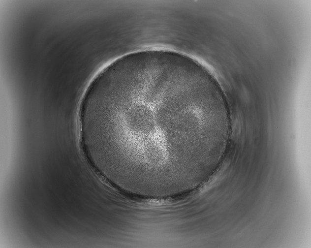 X0000098071271200804110915