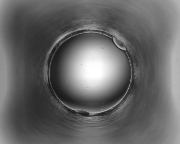 X0000098071272200804110915