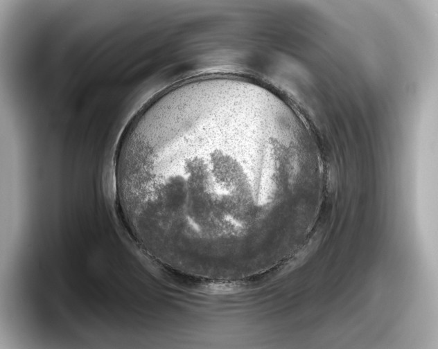 X0000098071274200804110915