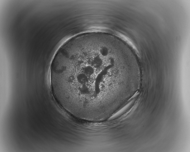 X0000098071275200804110915