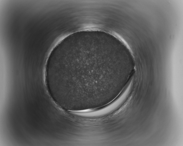 X0000098071277200804110915