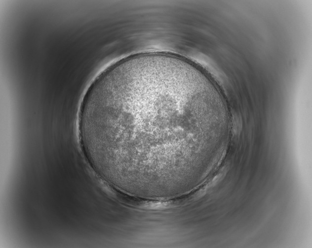 X0000098071278200804110915