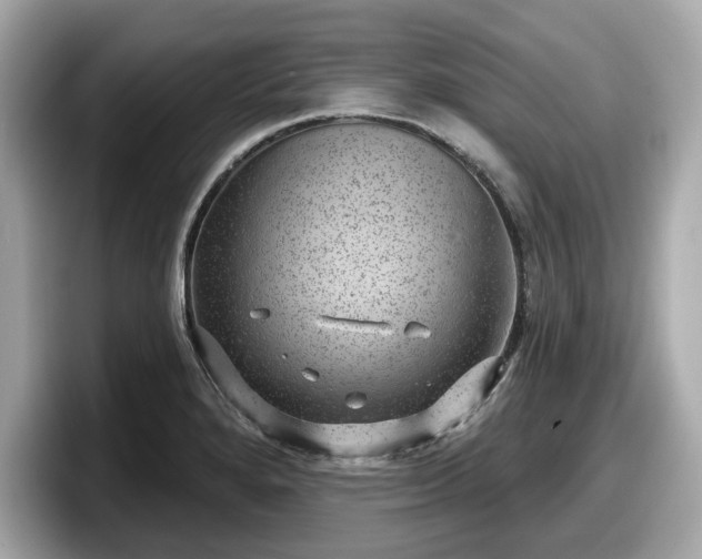 X0000098071280200804110915