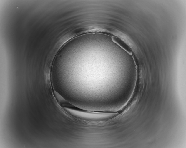 X0000098071281200804110915