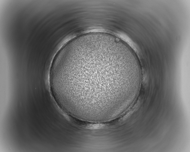 X0000098071282200804110915