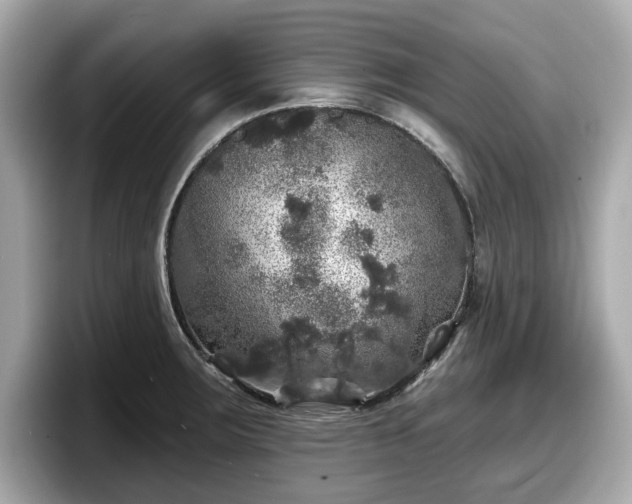 X0000098071283200804110915