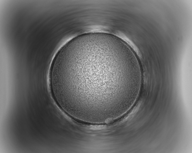 X0000098071285200804110915