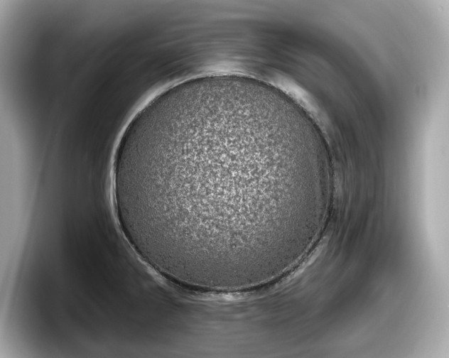 X0000098071286200804110915