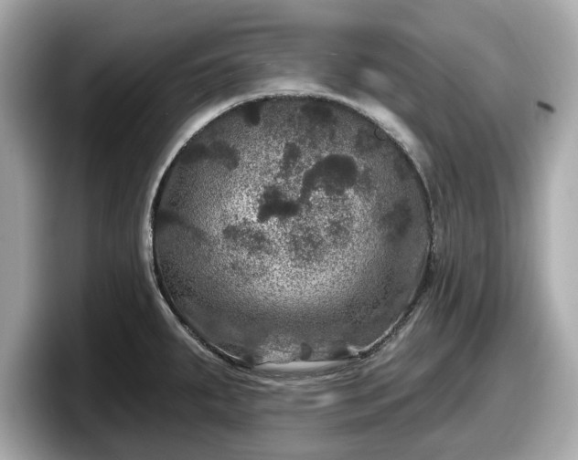 X0000098071287200804110915