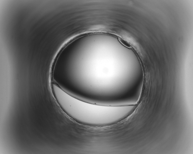 X0000098071288200804110915