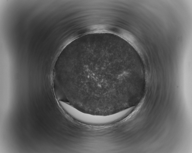 X0000098071289200804110915