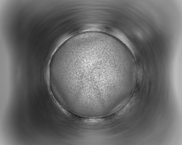 X0000098071290200804110915