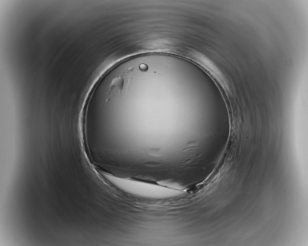 X0000098071291200804110915