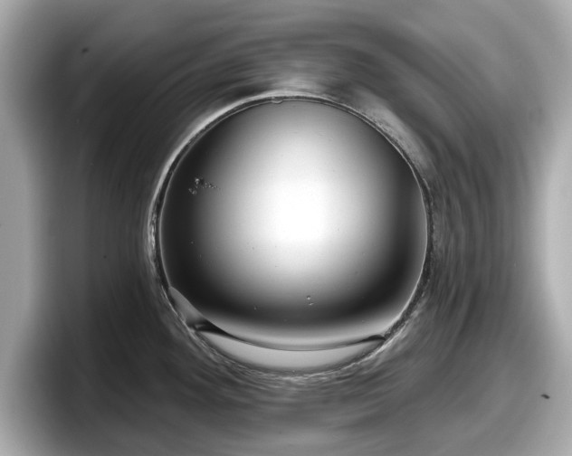 X0000098071292200804110915