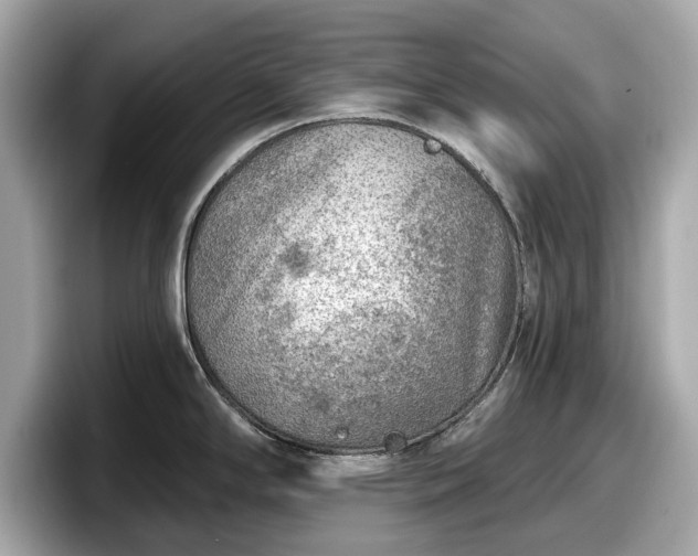 X0000098071294200804110915