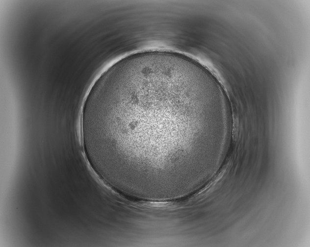 X0000098071295200804110915