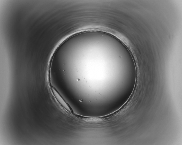 X0000098071296200804110915