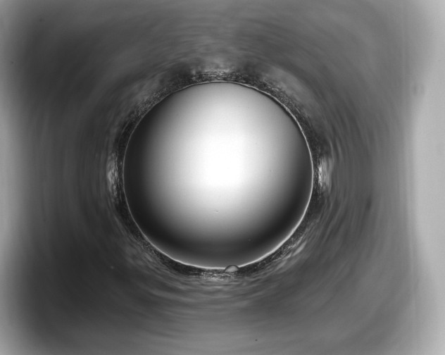 X0000098071299200804110914