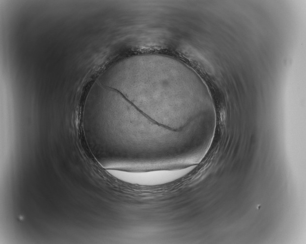 X0000098071300200804110914