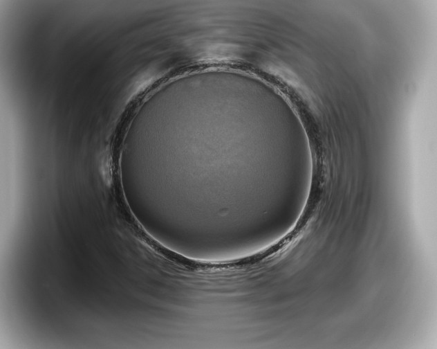 X0000098071306200804110914