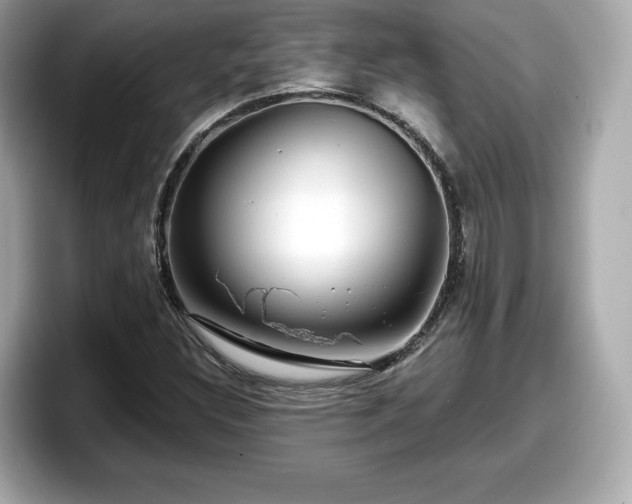 X0000098071308200804110914