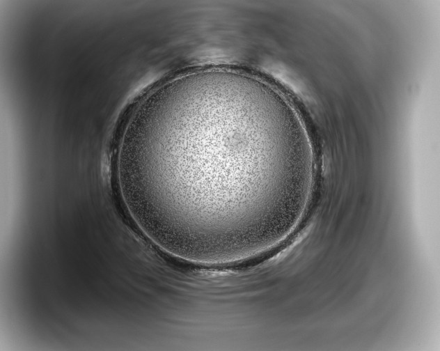 X0000098071309200804110914