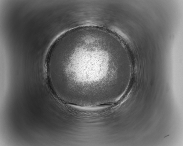 X0000098071310200804110914