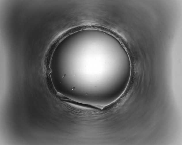 X0000098071311200804110914