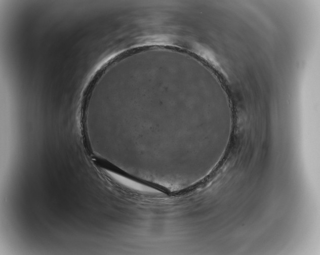 X0000098071312200804110914