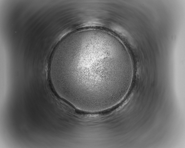 X0000098071313200804110914