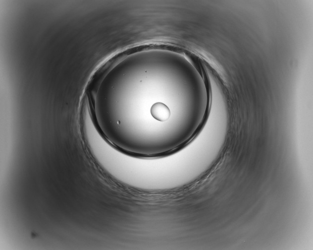 X0000098071316200804110914