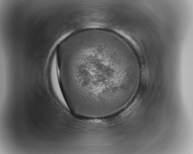 X0000098071317200804110914