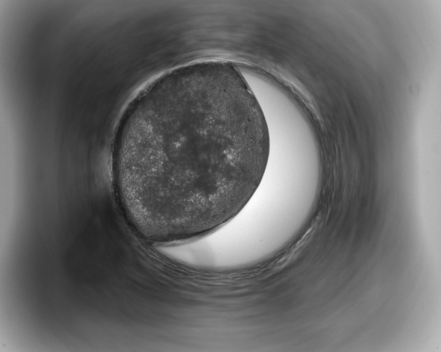 X0000098071318200804110914