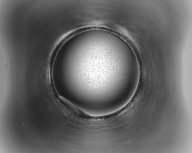 X0000098071320200804110914