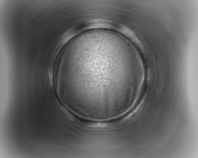 X0000098071321200804110914