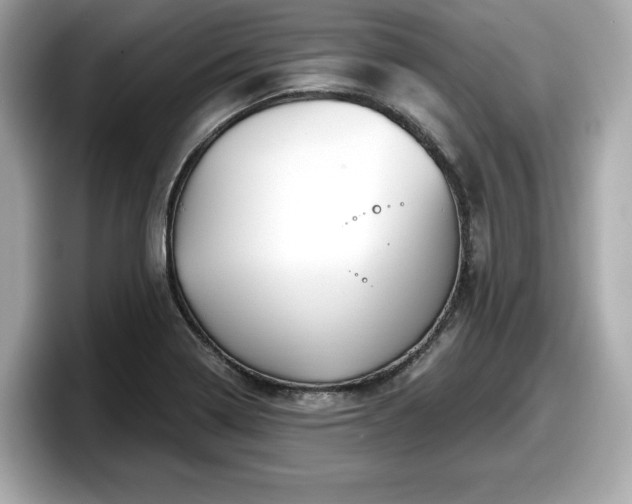 X0000098071322200804110914