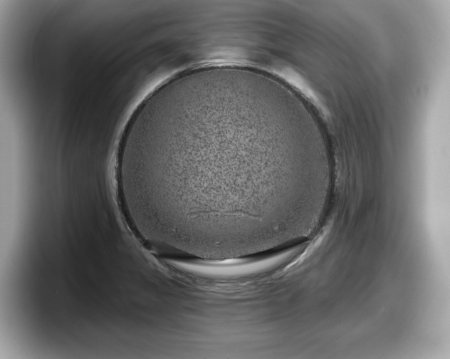 X0000098071325200804110915