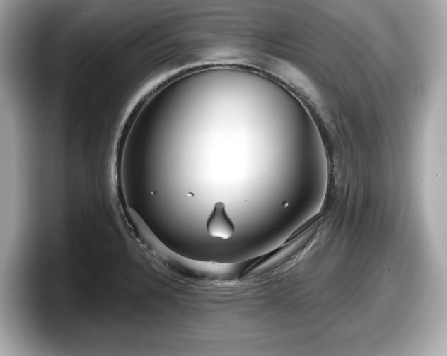 X0000098071328200804110915