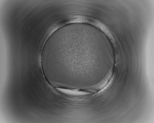 X0000098071329200804110915