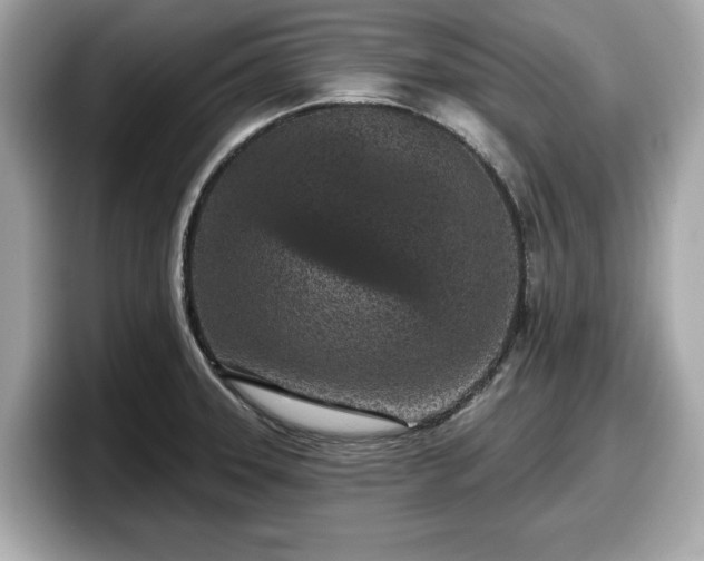 X0000098071331200804110915