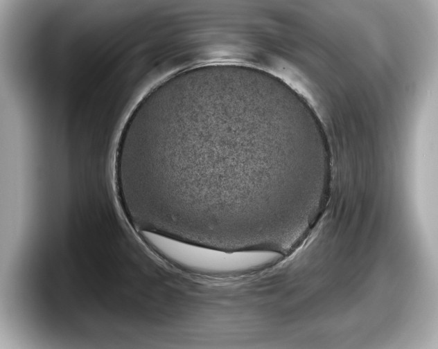 X0000098071333200804110915