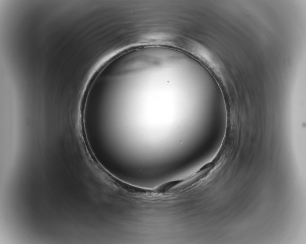 X0000098071336200804110915