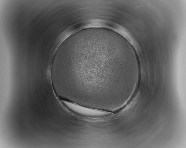 X0000098071337200804110915