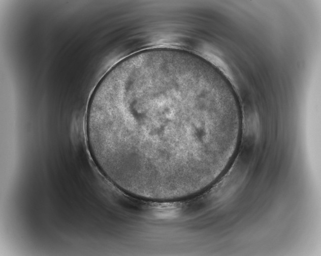 X0000098071338200804110915