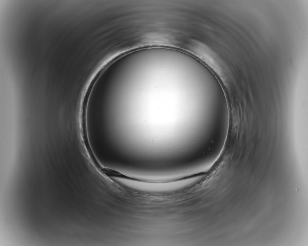 X0000098071339200804110915