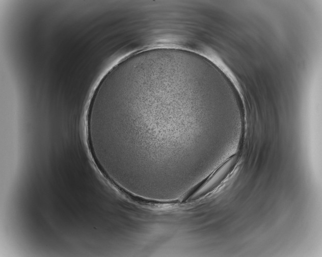 X0000098071341200804110915