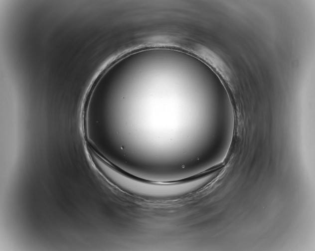 X0000098071342200804110915