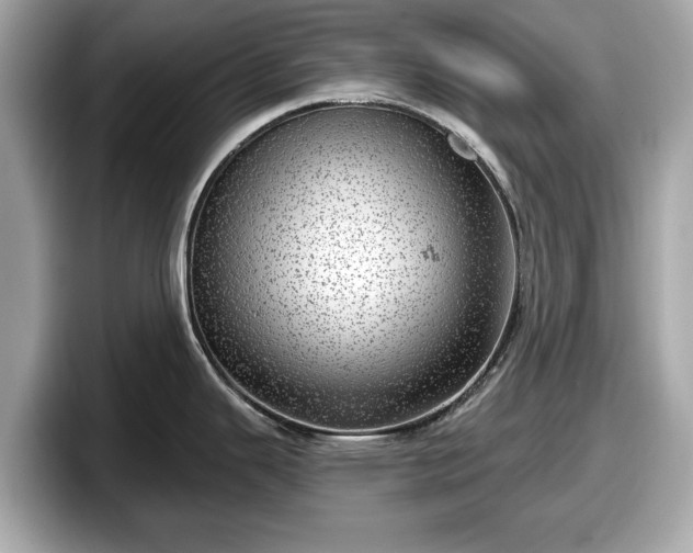 X0000098071343200804110915